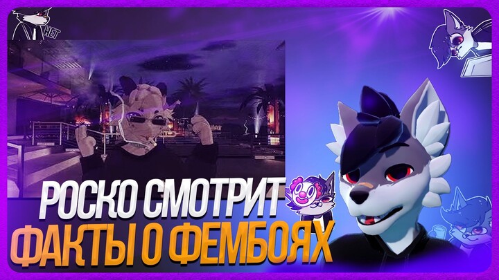 🐺 Роско смотрит T W I S T Y - Факты о фембоях, которые тебя НЕ удивят | VRChat