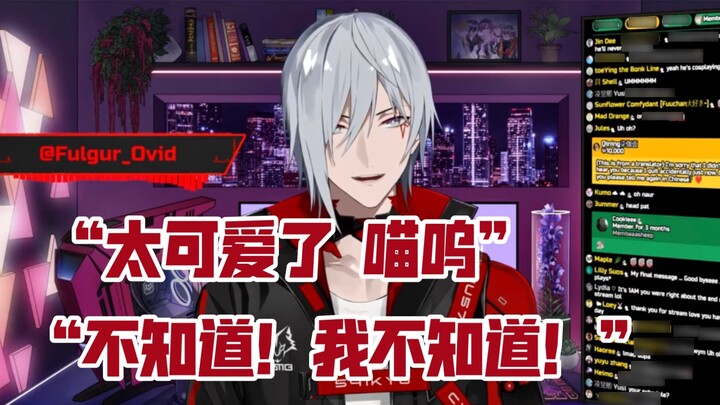 [Nấu chín/Fulgur] Chú cừu nhỏ dễ thương nói được tiếng Trung/Anh ấy không biết