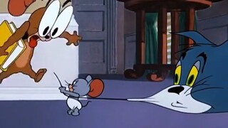 Ai có thể cưỡng lại sự xuất hiện đột ngột của mèo và chuột?