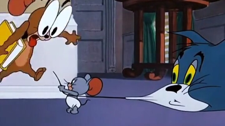 Who would resist the sudden appearance of cat and mouse?