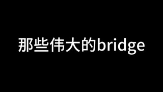 【God-level bridge】"It not only supports the bridge but also the entire team"