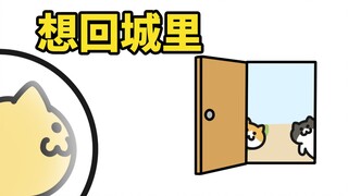 这个假就放到这里了