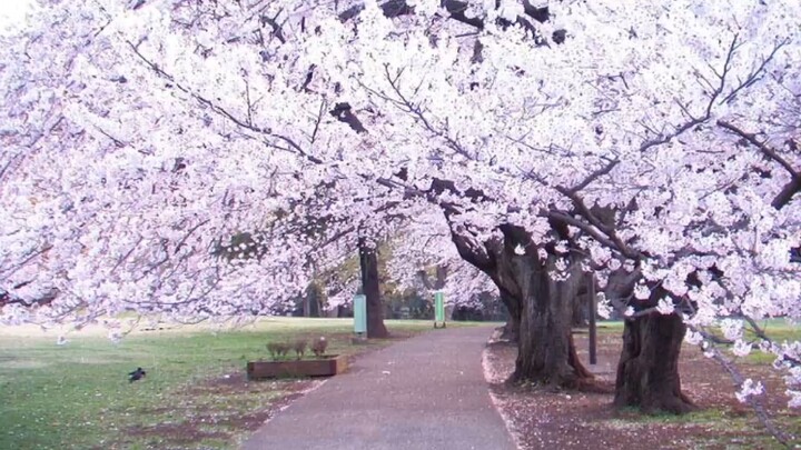 " hạnh phúc nhé các con"