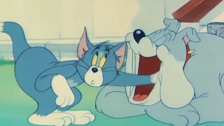 Tom and Jerry: ไม่อย่างนั้นคุณคิดว่าเราถ่ายทำตอนนั้นได้ยังไง