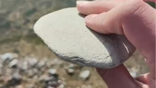 "أين بحق الجحيم أنت؟ ها؟!!"