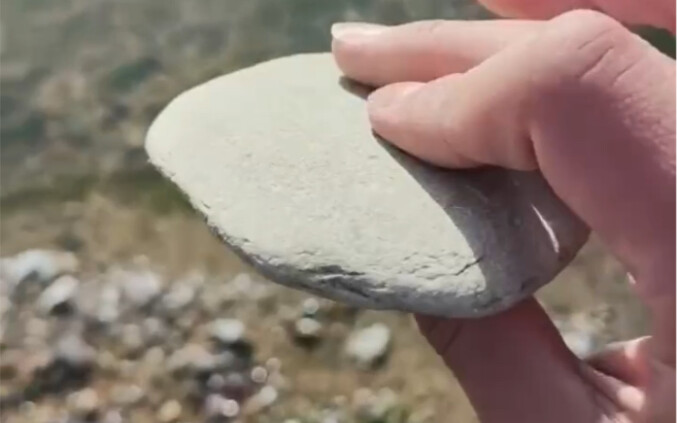 “แกอยู่ที่ไหนกันแน่? หือ?!!”