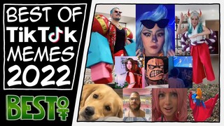 Funniest ONE PIECE TikTok Memes 2022 - Best Of Community