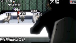 当新冠来袭时你的免疫系统在干嘛