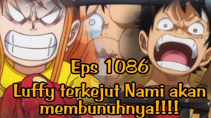 Luffy Terkejut Akan Dibunuh Luffy!!!