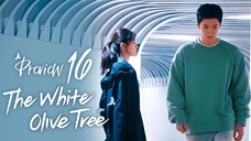 PREVIEW-EP16/38 The White Olive Tree (2025)