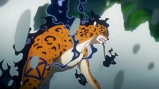 Si Kucing Garong Nyoba Solo Lawan Zoro🤣🤣