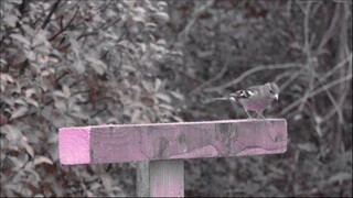 1 Hours of UPLIFTING Morning Worship  Begin Your Day With God