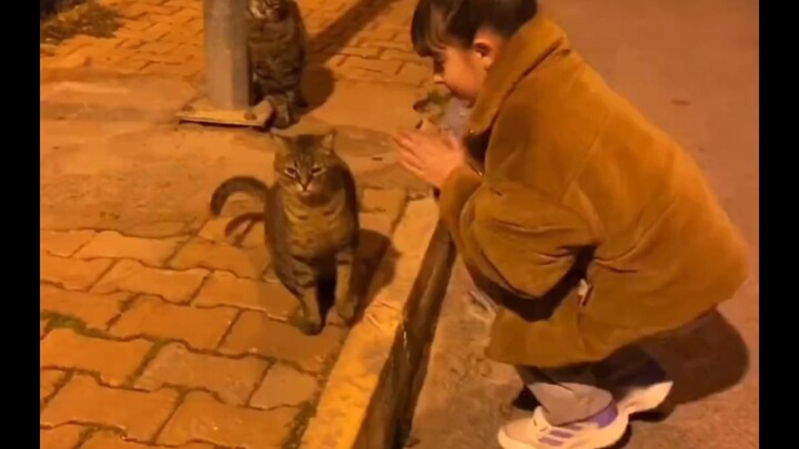 Muốn tôi biểu diễn tài năng hả?