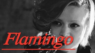 【假面骑士ooo】Flamingo｜舞台上发光的只有你一人也好｜