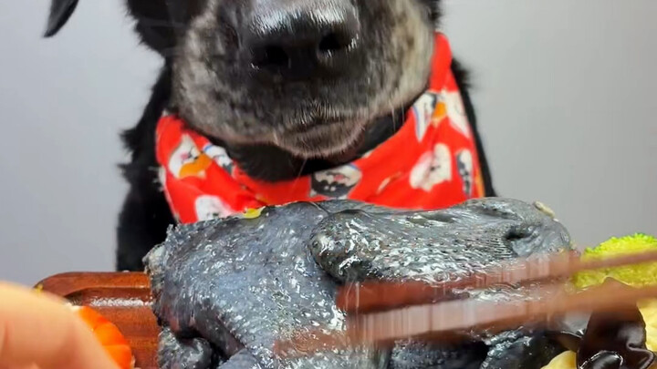 ไก่ดำที่ซื้อมาวันนี้ก็ยังไม่อ้วนพอ