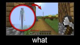 Minecraft wait what meme part 233 (Scary Big Alex)