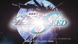 Mobile Suit Gundam: SEED Episode 22