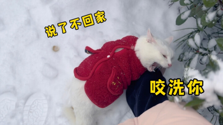 Zhang, you’re in big trouble for playing the victim! Who taught you to bite Mom? You’re grounded—wan