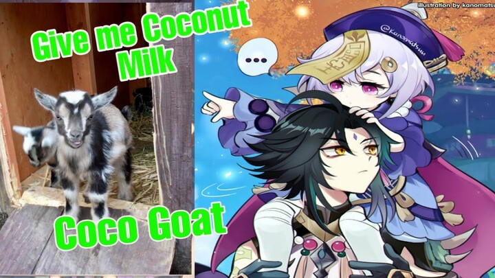 Qiqi wants some coconut milk