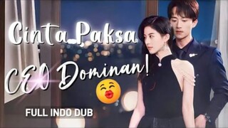 cinta paksa CEO yang sombong akhirnya menjadi luluh