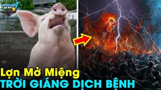 ✈️ 7 Trường Hợp Kỳ Lạ Động Vật Biết Nói Trên Thế Giới Khiến Bạn Không Thể Tin Nổi | Khám Phá Đó Đây