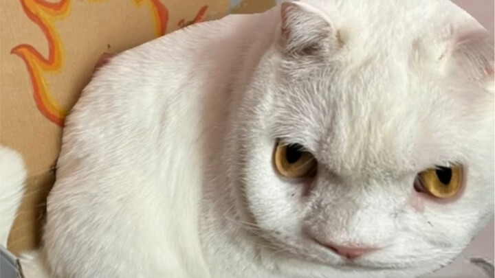 Mengucapkan selamat tinggal pada tahun lalu, menyambut tahun baru~~~