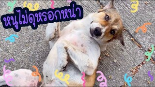 โลกของแสนดี ตอน โคล่าหมาดุประจำซอย