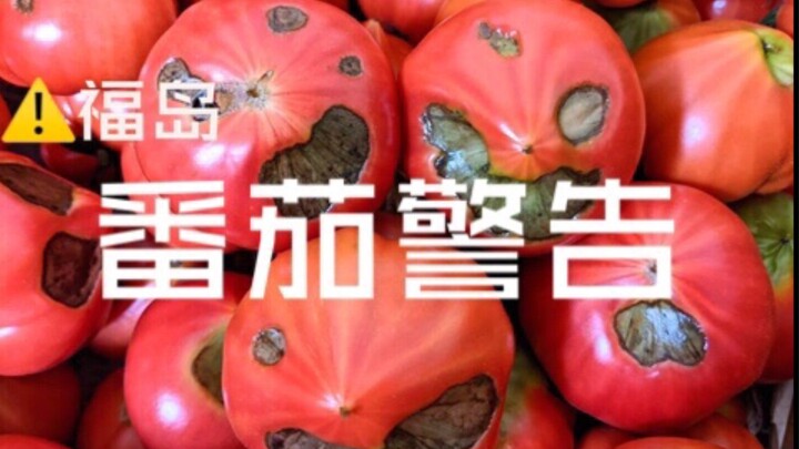 Supermarket di Jepang kedatangan banyak tomat Fukushima (*゜ー゜*)