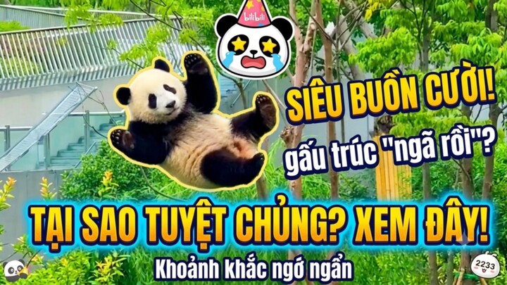 🤭#gautruc #funny