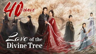 🇨🇳EP40 𝗙𝗜𝗡𝗔𝗟𝗘 | LOTDT: Sendai Tree (2025) [EngSub]