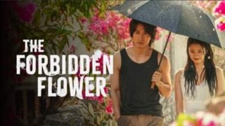 THE FORBIDDEN FLOWER - EPISODE 16 (TAGALOG DUB)