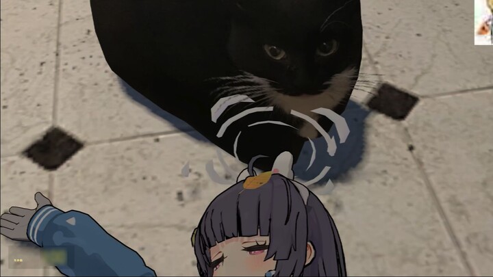 Gently awaken the sleeping soul