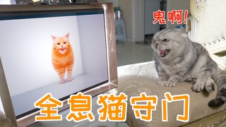 To prevent being assassinated by cats at night, I made a holographic projection of a cat to guard th