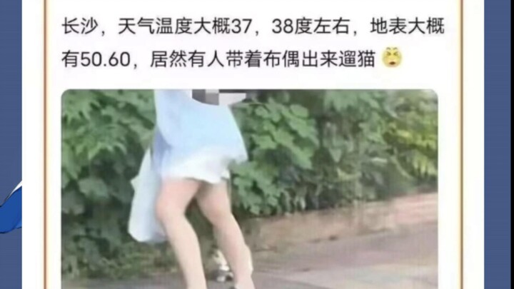 อัจฉริยะครุ่นคิดตรึกตรองยังสู้คนโง่ที่ปิ๊งไอเดียได้ในพริบตาไม่ได้