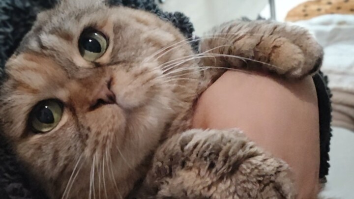 Mommy, I don’t want to be brushed…