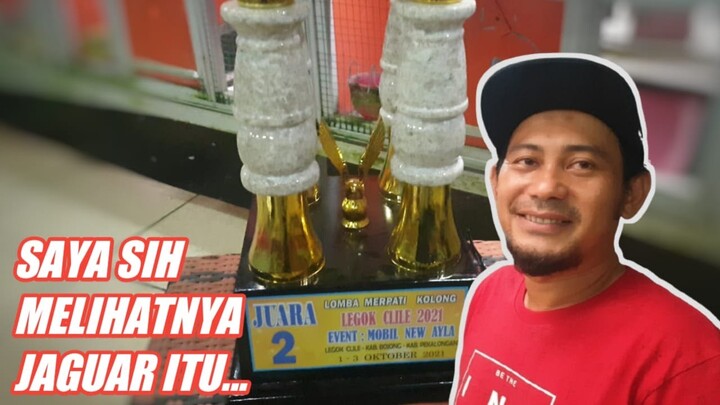 MENGUNGGULI JAGUAR DAN KENWOOD DI KANDANG APA TANGGAPAN OM RONNY PEMILIK RAMPOK ? | Dara Manisku