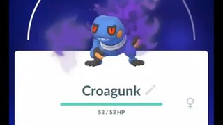 Pokémon GO-Purifying Shadow Croagunk