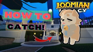 Loomian Legacy Update 2022! HOW TO GET TAOSHI IN Loomian Legacy! | Roblox