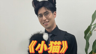 《小猫》