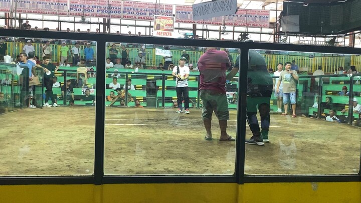 Magtito Gamefarm Gilmore Grey, 2Hits Arcontica Dasma - Win