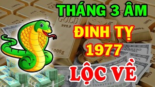 Thần Tài Ban Lộc Đinh Tỵ 1977 Lộc Trời Về Tay Giàu Ngay Lập Tức Tháng 3 Âm