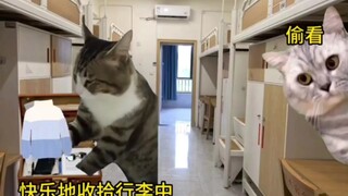 当中国留子把外国同学带回国