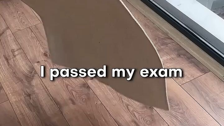 The One Place That Never Judges You