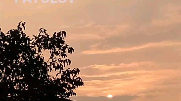 sun
