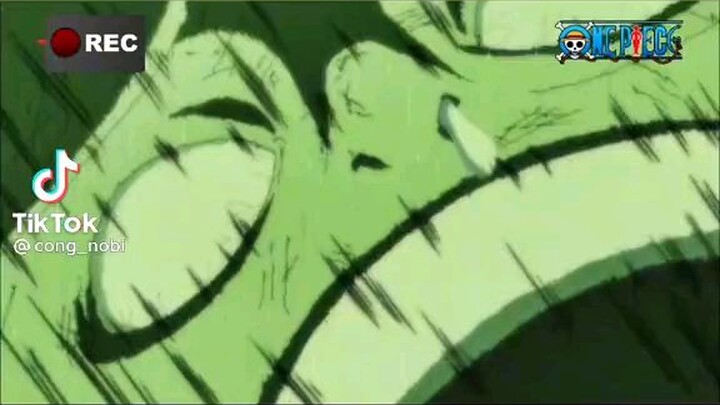 😥😥😥 0nepiece