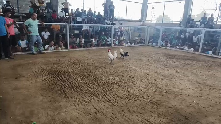 2 hits ulutan first fight kanya  lahat pati pang bayad 😅