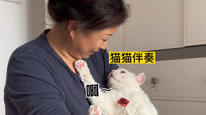 Human-Cat Duet Version of “Wishing You a Happy New Year,” Wishing Everyone a Happy New Year!