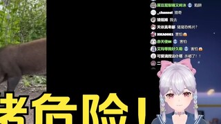 The most immersive episode, Li An saw the pigs eating the food in the trap and shouted anxiously: St