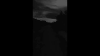 Lofi Chill #28