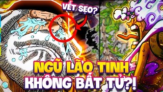 NGŨ LÃO TINH KHÔNG THẬT SỰ BẤT TỬ?! | ONE PIECE 1111+